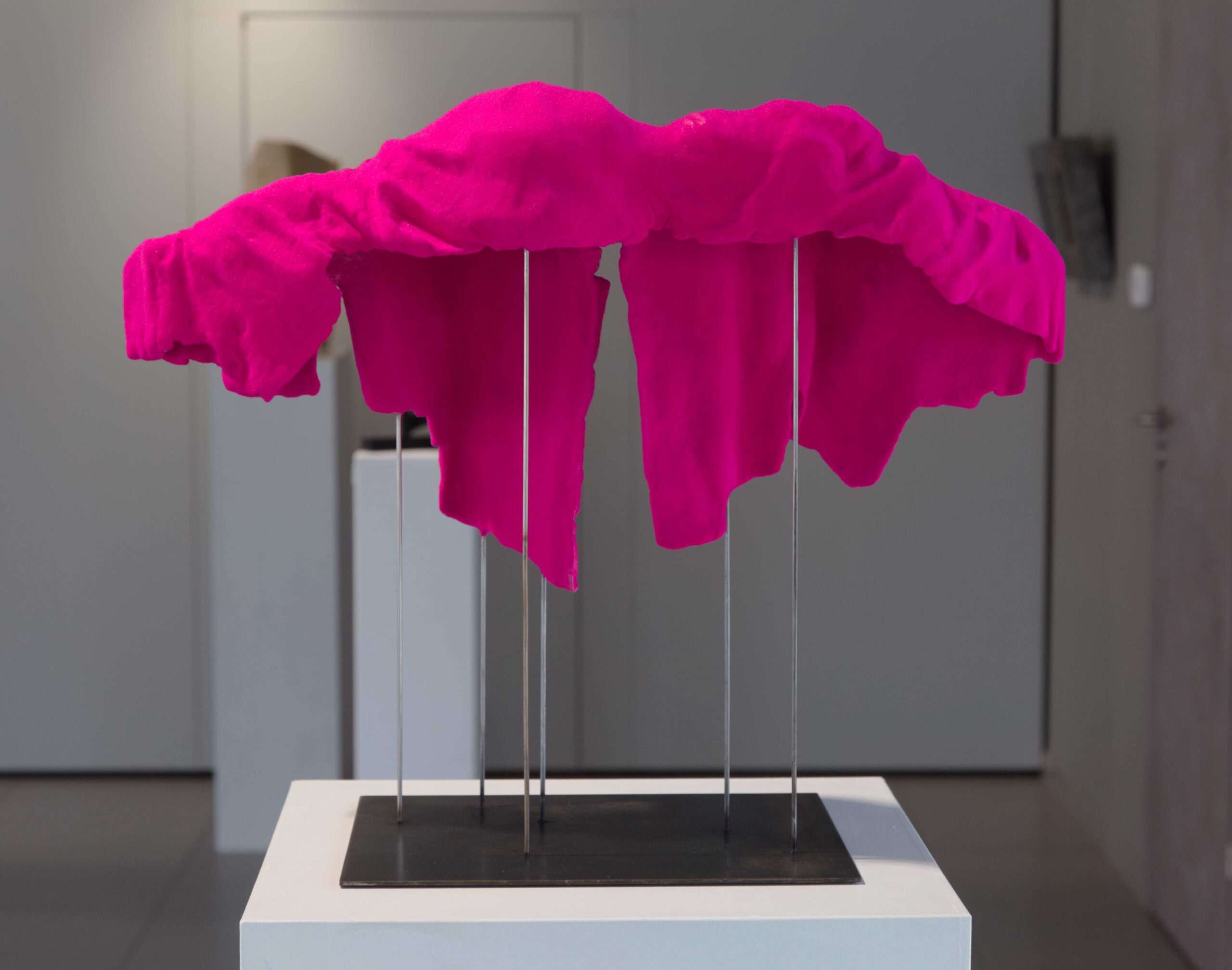 Sleeping beauty Sleeping beauty